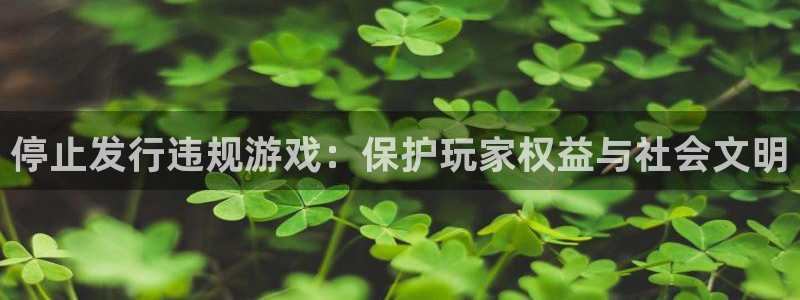 雷火电竞注册平台怎么注册不了：停止发行违规游戏：保护玩家权益与社会文明