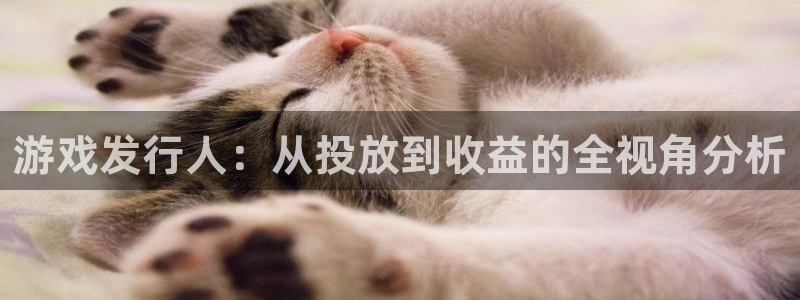 雷火电竞注册平台怎么样可靠吗：游戏发行人：从投放到收益的全视角分析