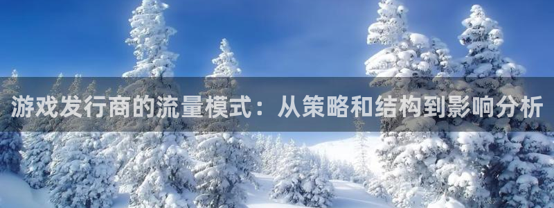 雷火电竞登录注册不了账号：游戏发行商的流量模式：从策略和结构到影响分析