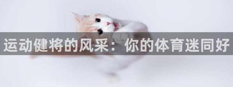 betway西汉姆：运动健将的风采：你的体育迷同好