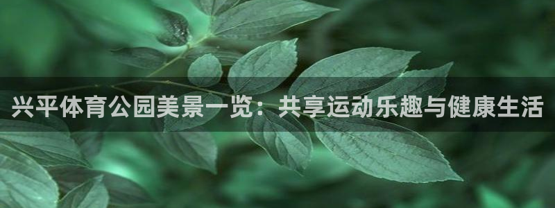 必威betway西汉姆联：兴平体育公园美景一览：共享运动乐趣与健康生活
