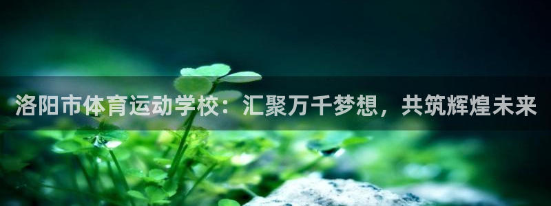 betway西汉姆联官网：洛阳市体育运动学校：汇聚万千梦想，共筑辉煌未来