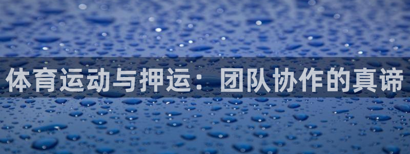 betway西汉姆：体育运动与押运：团队协作的真谛