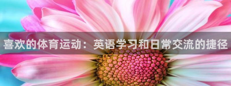 betway西汉姆：喜欢的体育运动：英语学习和日常交流的捷径