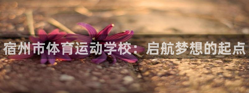 必威betway西汉姆联：宿州市体育运动学校：启航梦想的起点