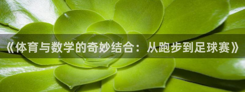 betway西汉姆：《体育与数学的奇妙结合：从跑步到足球赛》