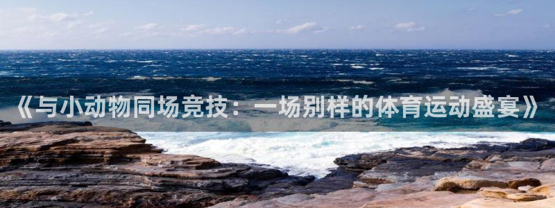 betway西汉姆联：《与小动物同场竞技：一场别样的体育运动盛宴》
