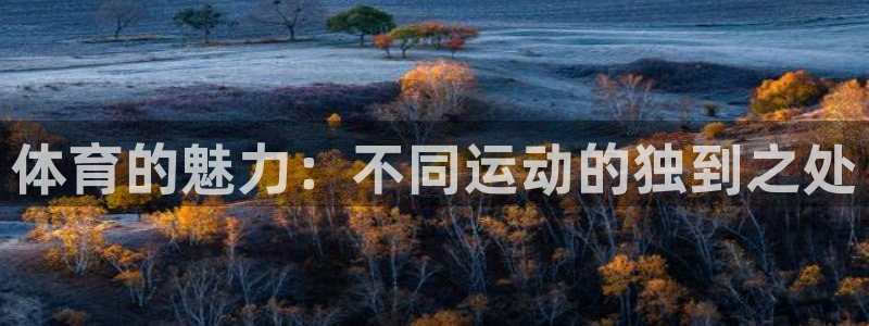 betway西汉姆联：体育的魅力：不同运动的独到之处