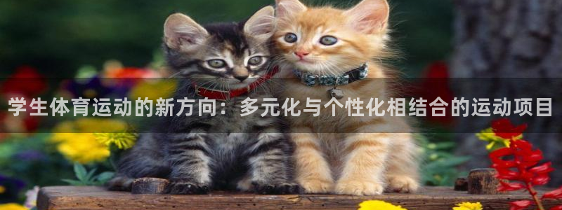 betway西汉姆官网：学生体育运动的新方向：多元化与个性化相结合的运动项目